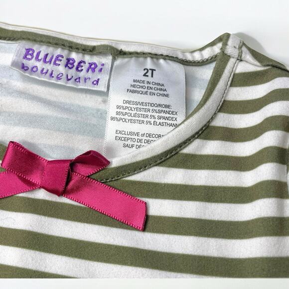 Blueberi Boulevard Girls Dress 2T Striped Floral Cottagecore Ruffle Whimsical - Picture 3 of 3